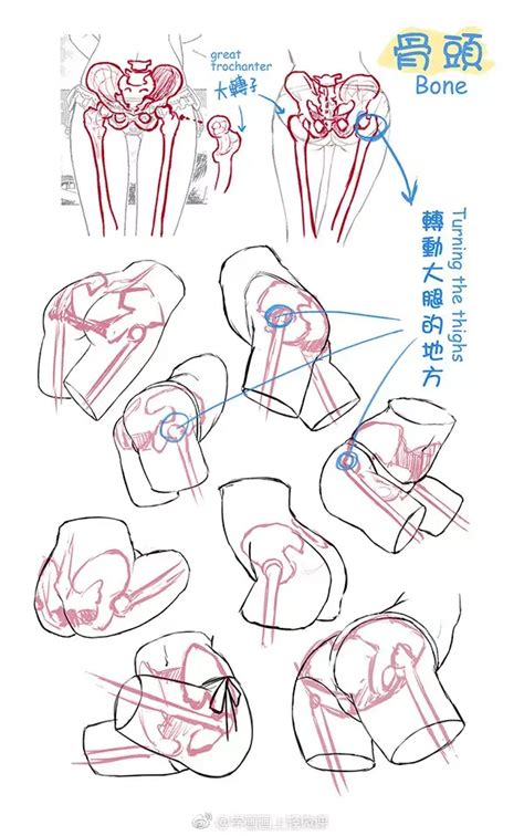 屁股 畫法|【人体绘画】带你攻克人体臀部动漫绘画难点